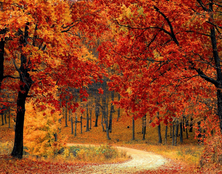 God Will Always Make A Way